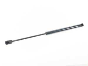Trunk Strut