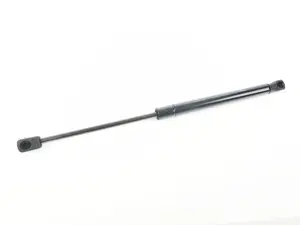 Trunk Strut