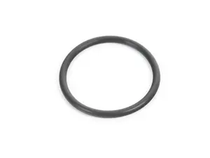 Water Pump O-Ring