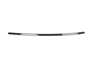 Genuine BMW Roof Molding Painted Left - 51138061449 - F82