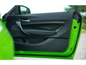 Alpha-N F87 M2 Carbon Door Card Set