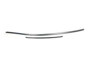 ROOF MOLDING PRIME-C