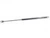 TRW Hood Gas Strut - Priced Each 51231927129 View 1
