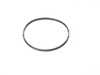 Genuine BMW Genuine BMW Gasket Ring - 11667610690 11667610690 View 1
