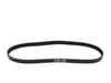 Continental Conti Tech A/C Compressor Belt - E34, E36, E39 11281703943 View 1