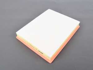 Hengst Air Filter - 13718616909