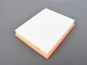 Hengst Air Filter - 13718616909