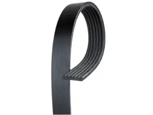 Accessory Belt