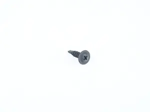FILLISTER HEAD SCREW