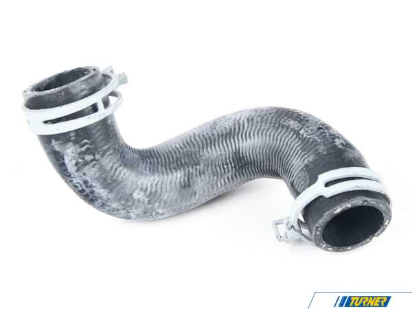Rein Hose From Radiator Bottom - Thermostat CHR0800 17127617368