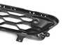 Genuine MINI GRILL, CENTER LOWER 51119477043 View 2