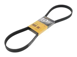 OEM Continental Accessory Belt - 11288646475