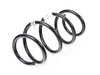 Genuine BMW FRONT COIL SPRING 31336873388 View 1