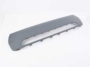 TRIM, BUMPER FRONT