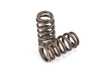 Brian Crower B58 Beehive Spring & Titanium Retainer Kit BC0326 View 4