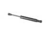 Stabilus Trunk Strut - Priced Each 51242497679 View 4