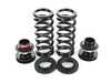 BC Racing BC Racing BR Series Coilover Suspension Kit - 3-Bolt Top Mount - BMW F80 M3, F82 M4 I-49-BR View 7