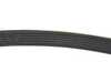 ECS Performance Kevlar Reinforced Belt 6PK1175 View 3