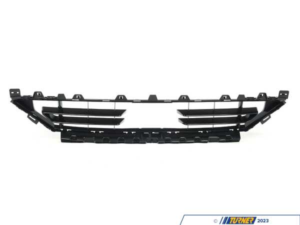 Genuine BMW GRID, CENTER 51117496957