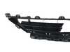 Genuine BMW GRID, CENTER 51117496957 View 3