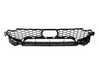 Genuine BMW GRILL, CENTER LOWER 51118065195 View 1