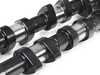 Cat Cams Cat Cams M52B28 Hot Street Camshaft Set 1304213 View 7
