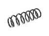 Bilstein Bilstein OE Replacement Springs (With Tow Bar) 36-294459 View 2