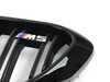 Genuine BMW GRILLE, FRONT, LEFT 51138076041 View 2