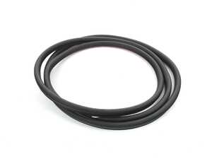 Genuine BMW Door Weatherstrip Rear - 51767010859