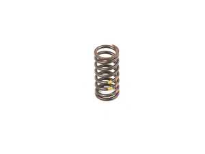 VALVE SPRING