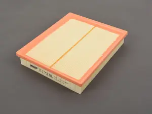 Engine Air Filter