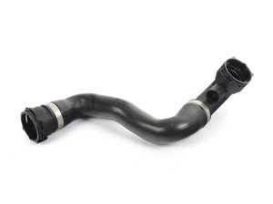 Radiator Hose - Lower