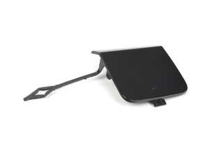 COVER, TOWING HINGE