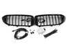 Genuine BMW FRONT ORNAMENTAL GRILLE ICON 63172466465 View 1