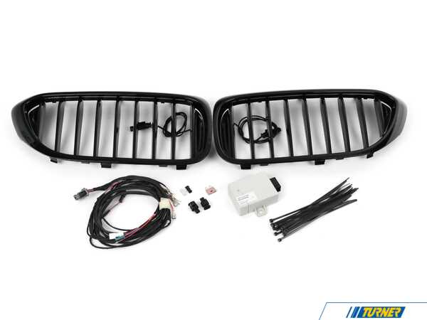 Genuine BMW FRONT ORNAMENTAL GRILLE ICON 63172466465