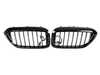 Genuine BMW FRONT ORNAMENTAL GRILLE ICON 63172466465 View 2