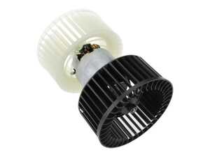 Blower Motor