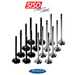 5150 Autosport 5150 Autosport BMW B48 Valves SuperTech With Valve Locks 45729108328755 View 1