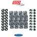 5150 Autosport 5150 Autosport BMW B48 Valve Springs  45632604209459 View 1