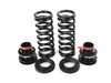 BC Racing BC Racing BR Series Coilover Suspension Kit - 3-Bolt Top Mounts - F32 F36 428i 430i 435i 440i xDrive I-62-BR View 8