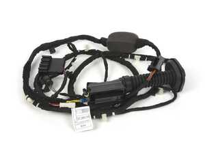 DOOR WIRING HARNESS, REAR