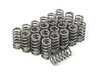 Supertech Performance Conical Valve Spring - Set Of 24 SPR-FE20BE-2-24 View 2