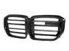 AUTOTECKNIC AutoTecknic Dry Carbon M-Inspired Front Grille - G05 X5 LCI BM-0425 View 2