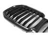 AUTOTECKNIC AutoTecknic Dry Carbon Fiber Front Grille - G05 X5 Pre-LCI BM-0613-CF View 2