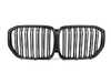 AUTOTECKNIC AutoTecknic Dual-Slat Dry Carbon Front Grille - G05 X5 Pre-LCI  BM-0613-DS-CF View 2