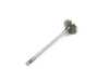 Kolbenschmidt Intake Valve - Priced Each 11347513019 View 5