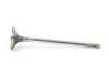 Kolbenschmidt Intake Valve - Priced Each 11347513019 View 6