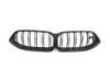 Genuine BMW FRONT RADIATOR GRILL CARBON 51712462820 View 1