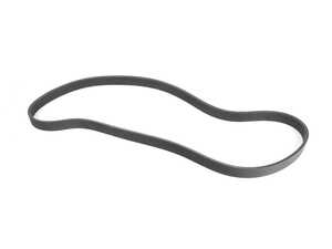 Accessory Belt 6pk-1173