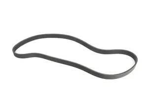 Accessory Belt 6pk-1173